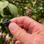 WhatsApp Image 2025-12-23 at 10.12.33 AM