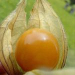 WhatsApp Image 2025-12-23 at 10.24.51 AM (3)