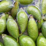 WhatsApp Image 2025-12-23 at 10.24.51 AM