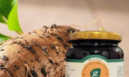 WhatsApp Image 2025-12-23 at 9.56.51 AM